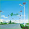 Penghematan Energi 8M Pole Solar Panel Lampu jalan Dengan 40W Epister Chip LED
