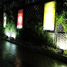 Hemat Energi Solar LED Banjir Lights terbuka CE RoHS Untuk Landscape Pencahayaan